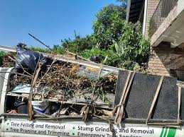 Best Recycling Services for Junk  in Homeland, CA